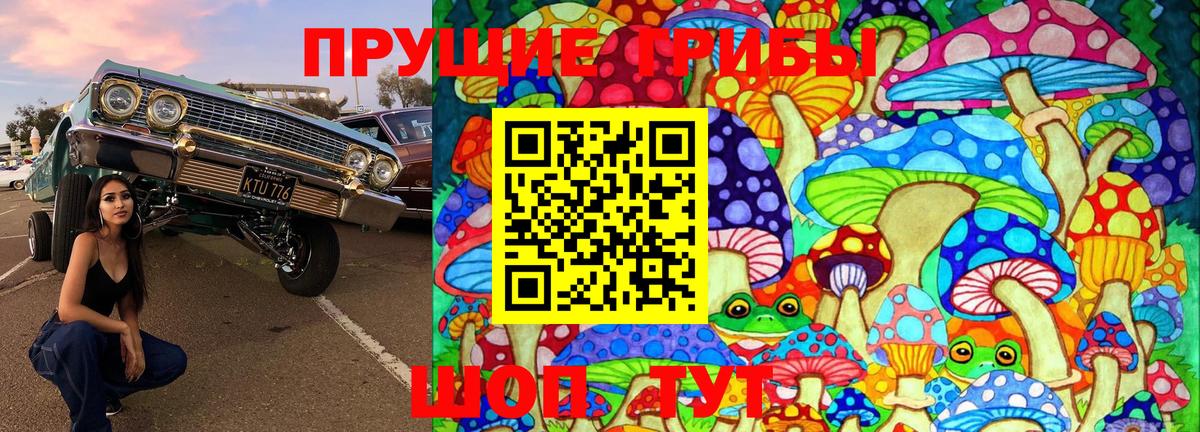Псилоцибиновые грибы ЛСД Зеленогорск